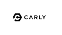 Carly remise en argent