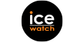 Ice-Watch remise en argent